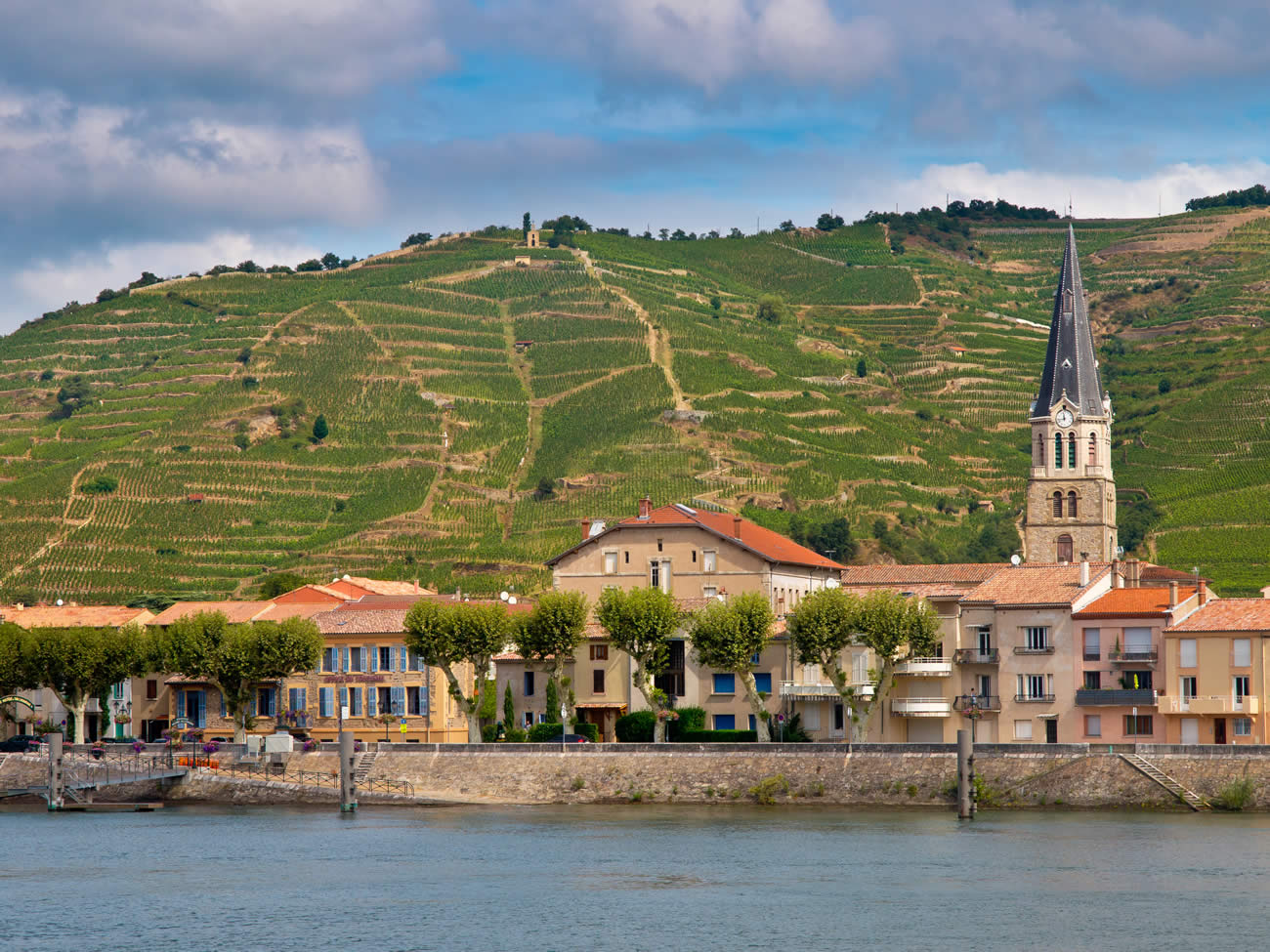 Primeurs 2022 Hermitage (Vallée du Rhône), domaine M.CHAPOUTIER : de 23.40 euros à 277 euros la bouteille