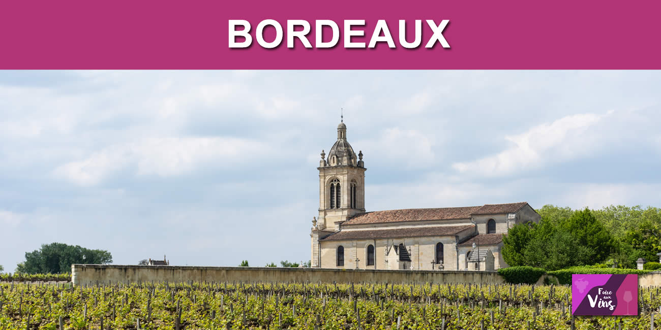 Bordeaux 2019 : une année exceptionnelle