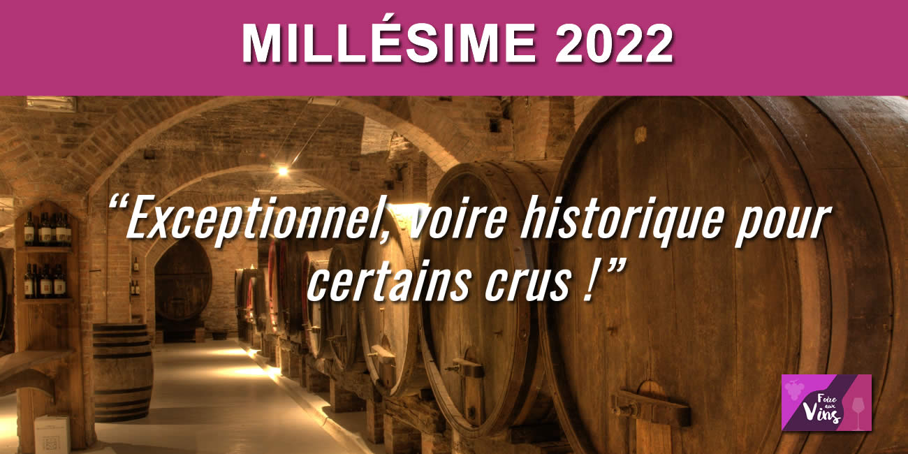 Le millésime 2022 sera historique, à l'instar de celui de 1947 !