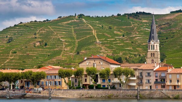 Primeurs 2022 Hermitage (Vallée du Rhône), domaine M.CHAPOUTIER : de 23.40 euros à 277 euros la bouteille