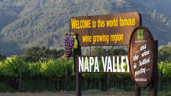 Vignobles : un incendie géant ravage la Napa Valley (USA)