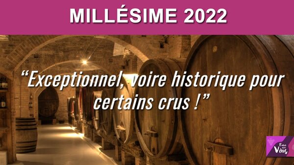 Le millésime 2022 sera historique, à l'instar de celui de 1947 !