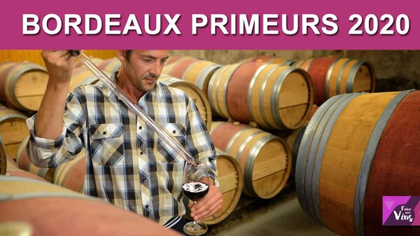 Bordeaux Primeurs 2020 : l'avis des experts