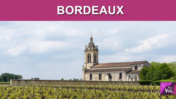 Vins de Bordeaux à moins de 20 €